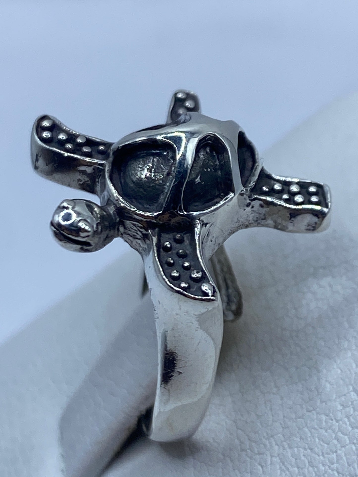 Detalle de los puntillados artesanales en la caparazón de la tortuga de plata