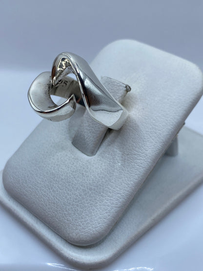 Detalle de la banda del anillo mostrando el pulido y las formas orgánicas
